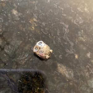 Pandora Silver Owl Charm (discontinued)